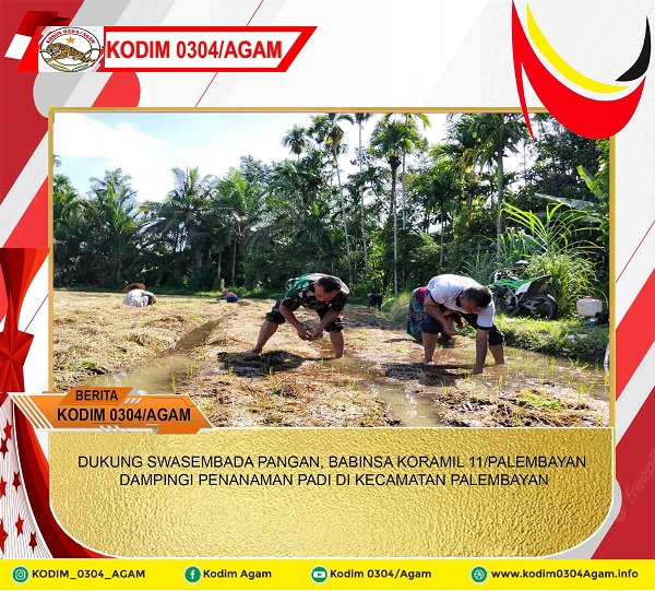 DUKUNG SWASEMBADA PANGAN, BABINSA KORAMIL 11/PALEMBAYAN DAMPINGI PENANAMAN PADI DI KECAMATAN PALEMBAYAN