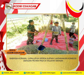 BABINSA KORAMIL 12/PALUPUH SERDA SUPIAN LAKSANAKAN KOMSOS DENGAN PETANI PADI DI WILAYAH BINAAN