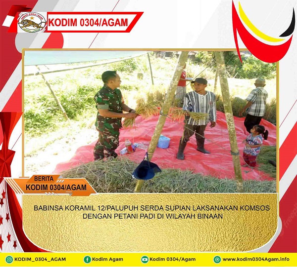 BABINSA KORAMIL 12/PALUPUH SERDA SUPIAN LAKSANAKAN KOMSOS DENGAN PETANI PADI DI WILAYAH BINAAN
