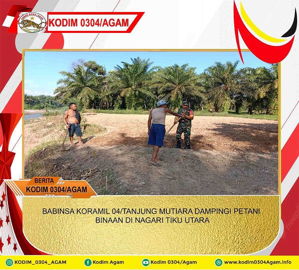 BABINSA KORAMIL 04/TANJUNG MUTIARA DAMPINGI PETANI BINAAN DI NAGARI TIKU UTARA