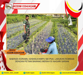 BABINSA KORAMIL 02/BANUHAMPU SEI PUA, LAKUKAN KOMSOS DENGAN PETANI BAWANG MERAH DI NAGARI SARIAK