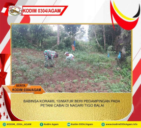 BABINSA KORAMIL 10/MATUR BERI PEDAMPINGAN PADA PETANI CABAI DI NAGARI TIGO BALAI