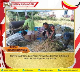 SERTU MASRIZAL DAMPINGI PETANI PANEN PADI DI NAGARI NAN LIMO PERSIAPAN, PALUPUH