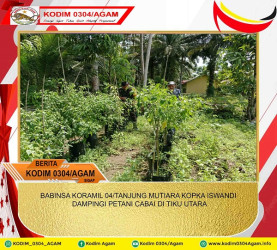 BABINSA KORAMIL 04/TANJUNG MUTIARA KOPKA ISWANDI DAMPINGI PETANI CABAI DI TIKU UTARA