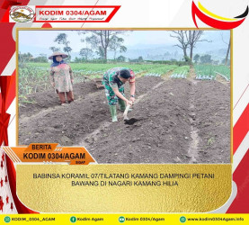 BABINSA KORAMIL 07/TILATANG KAMANG DAMPINGI PETANI BAWANG DI NAGARI KAMANG HILIA