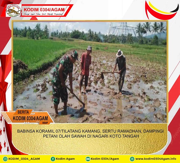 BABINSA KORAMIL 07/TILATANG KAMANG, SERTU RAMADHAN, DAMPINGI PETANI OLAH SAWAH DI NAGARI KOTO TANGAH