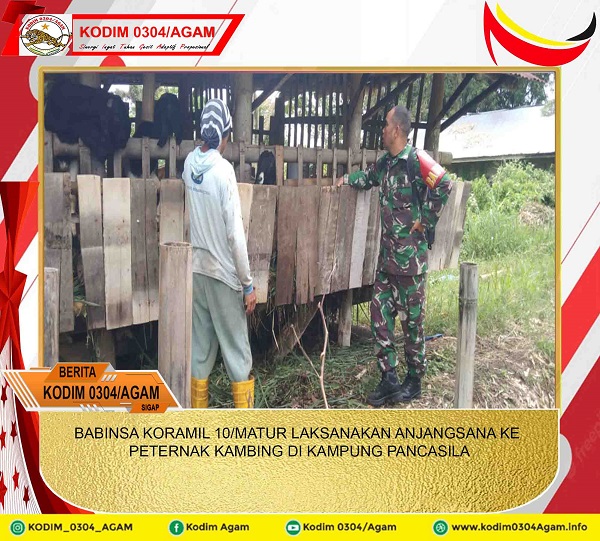 BABINSA KORAMIL 10/MATUR LAKSANAKAN ANJANGSANA KE PETERNAK KAMBING DI KAMPUNG PANCASILA