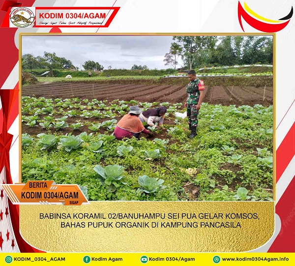 BABINSA KORAMIL 02/BANUHAMPU SEI PUA GELAR, KOMSOS BAHAS PUPUK ORGANIK DI KAMPUNG PANCASILA