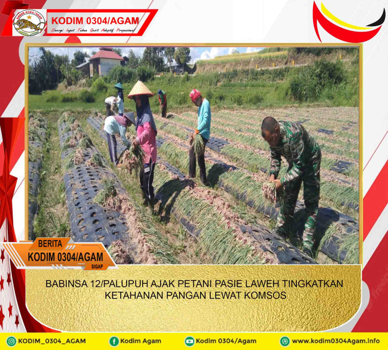 BABINSA KORAMIL 10/MATUR AKTIF DAMPINGI PETANI BAWANG DI WILAYAH BINAAN