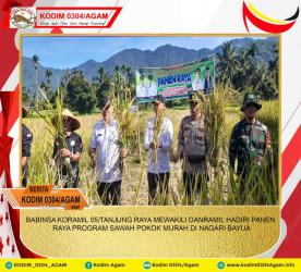 BABINSA KORAMIL 05/TANJUNG RAYA MEWAKILI DANRAMIL HADIRI PANEN RAYA PROGRAM SAWAH POKOK MURAH DI NAGARI BAYUA