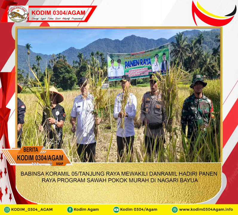 BABINSA KORAMIL 05/TANJUNG RAYA MEWAKILI DANRAMIL HADIRI PANEN RAYA PROGRAM SAWAH POKOK MURAH DI NAGARI BAYUA