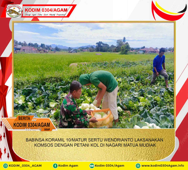 BABINSA KORAMIL 10/MATUR SERTU WENDRIANTO LAKSANAKAN KOMSOS DENGAN PETANI KOL DI NAGARI MATUA MUDIAK