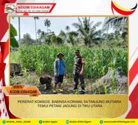 PERERAT KOMSOS, BABINSA KORAMIL 04/TANJUNG MUTIARA TEMUI PETANI JAGUNG DI TIKU UTARA