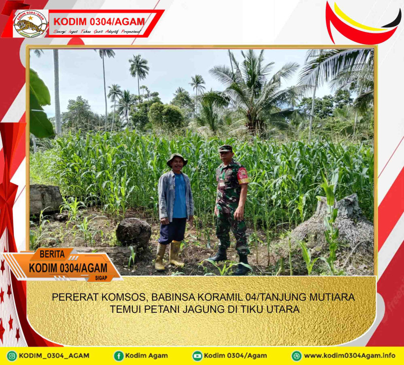 PERERAT KOMSOS, BABINSA KORAMIL 04/TANJUNG MUTIARA TEMUI PETANI JAGUNG DI TIKU UTARA