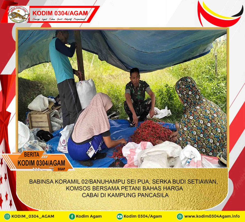 BABINSA KORAMIL 02/BANUHAMPU SEI PUA, SERKA BUDI SETIAWAN, KOMSOS BERSAMA PETANI BAHAS HARGA CABAI DI KAMPUNG PANCASILA