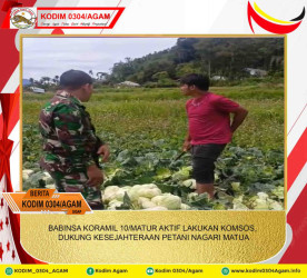 BABINSA KORAMIL 10/MATUR AKTIF LAKUKAN KOMSOS, DUKUNG KESEJAHTERAAN PETANI NAGARI MATUA