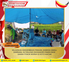 WUJUDKAN SWASEMBADA PANGAN, BABINSA WAKILI DANRAMIL 05/TANJUNG RAYA HADIRI PANEN RAYA SAWAH POKOK MURAH DI KOTO KACIAK