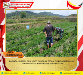 BABINSA KORAMIL 09/IV KOTO DAMPINGI PETANI DI NAGARI MALALAK UTARA UNTUK DUKUNG KETAHANAN PANGAN