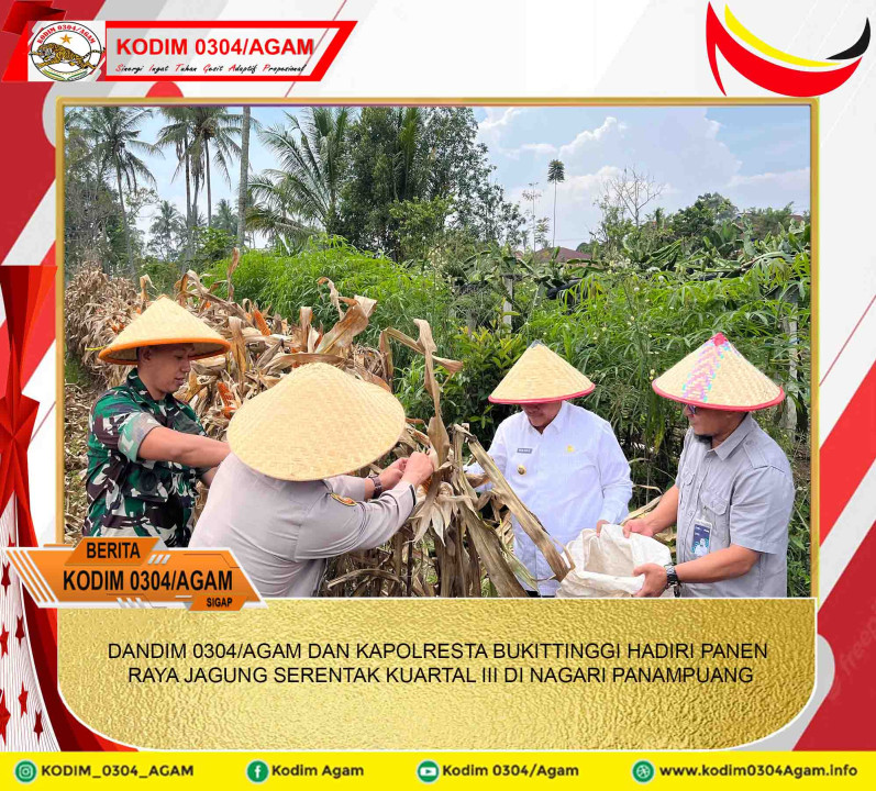 DANDIM 0304/AGAM DAN KAPOLRESTA BUKITTINGGI HADIRI PANEN RAYA JAGUNG SERENTAK KUARTAL III DI NAGARI PANAMPUANG