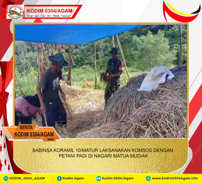 BABINSA KORAMIL 10/MATUR LAKSANAKAN KOMSOS DENGAN PETANI PADI DI NAGARI MATUA MUDIAK