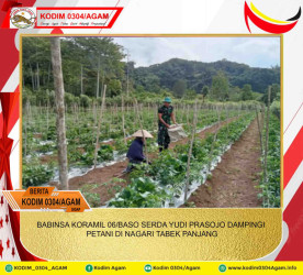 BABINSA KORAMIL 06/BASO SERDA YUDI PRASOJO DAMPINGI PETANI DI NAGARI TABEK PANJANG