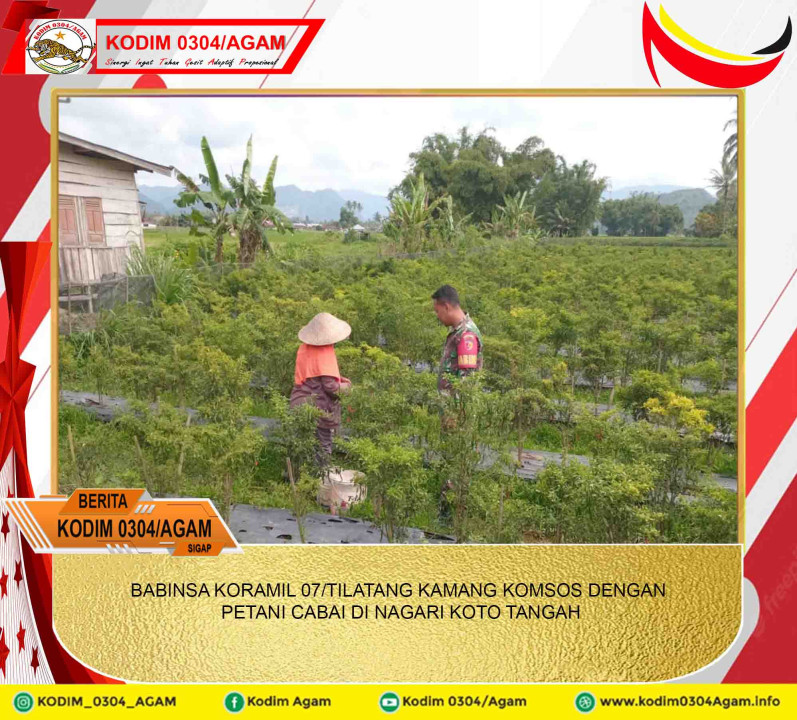 BABINSA KORAMIL 07/TILATANG KAMANG KOMSOS DENGAN PETANI CABAI DI NAGARI KOTO TANGAH