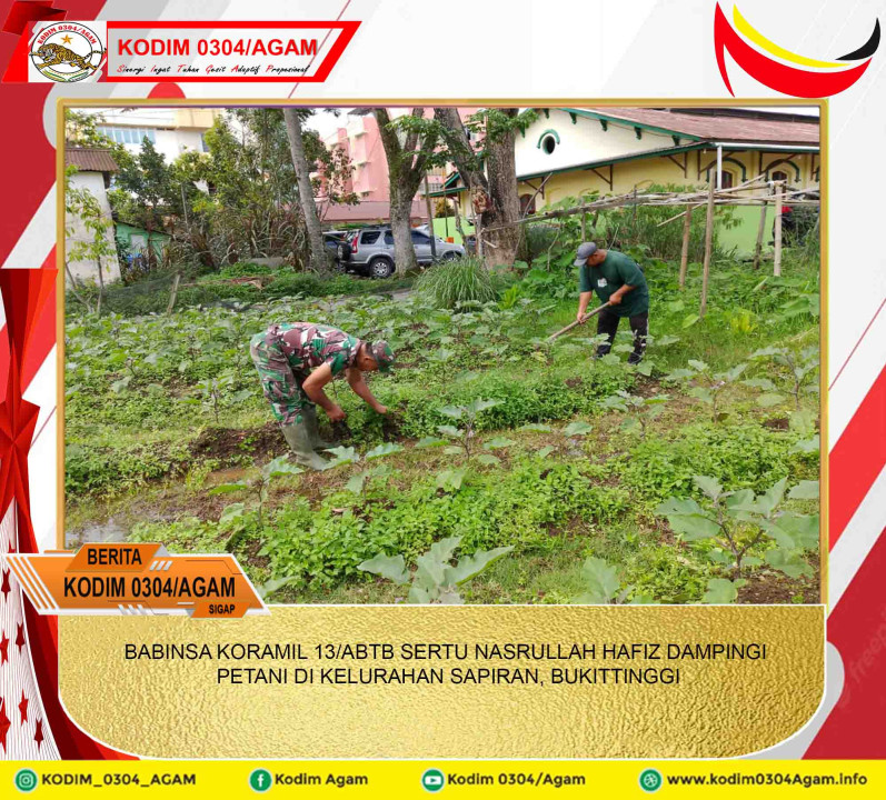 BABINSA KORAMIL 13/ABTB SERTU NASRULLAH HAFIZ DAMPINGI PETANI DI KELURAHAN SAPIRAN, BUKITTINGGI