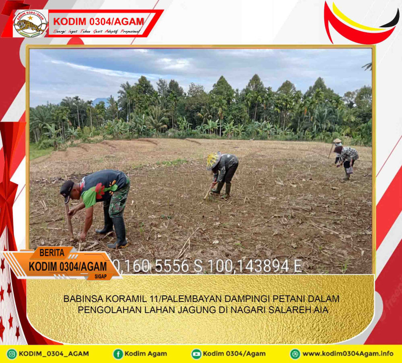 BABINSA KORAMIL 11/PALEMBAYAN DAMPINGI PETANI DALAM PENGOLAHAN LAHAN JAGUNG DI NAGARI SALAREH AIA