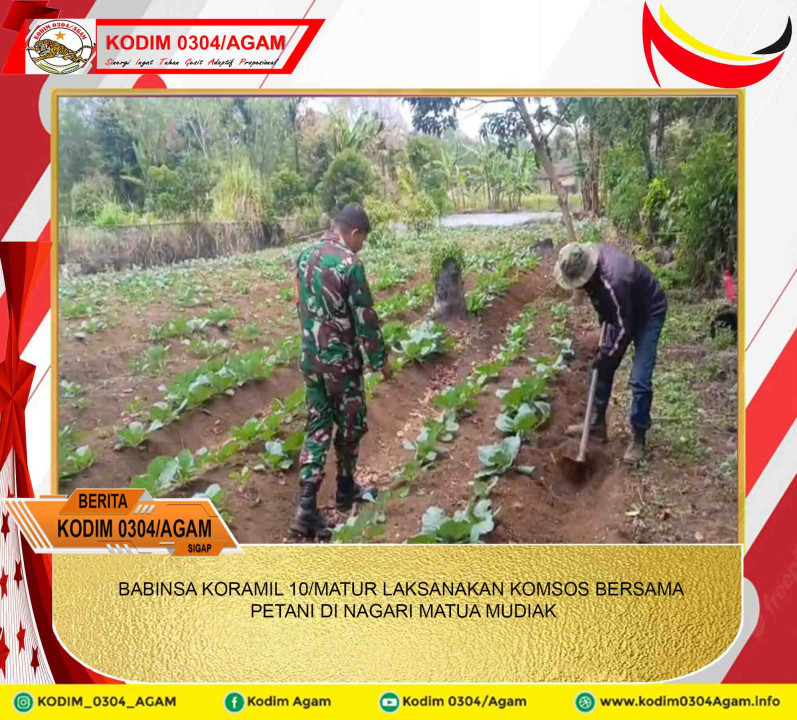 BABINSA KORAMIL 10/MATUR LAKSANAKAN KOMSOS BERSAMA PETANI DI NAGARI MATUA MUDIAK