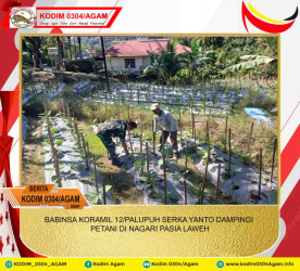 BABINSA KORAMIL 12/PALUPUH SERKA YANTO DAMPINGI PETANI DI NAGARI PASIA LAWEH