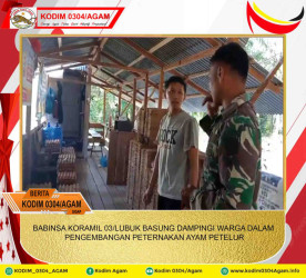 BABINSA KORAMIL 03/LUBUK BASUNG DAMPINGI WARGA DALAM PENGEMBANGAN PETERNAKAN AYAM PETELUR