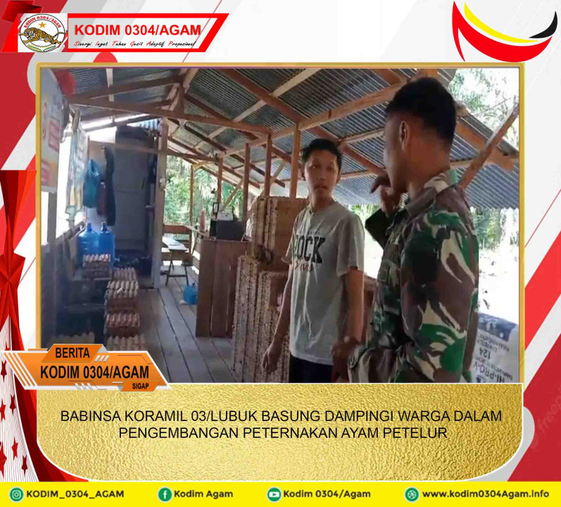 BABINSA KORAMIL 03/LUBUK BASUNG DAMPINGI WARGA DALAM PENGEMBANGAN PETERNAKAN AYAM PETELUR