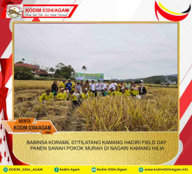BABINSA KORAMIL 07/TILATANG KAMANG HADIRI FIELD DAY PANEN SAWAH POKOK MURAH DI NAGARI KAMANG HILIA