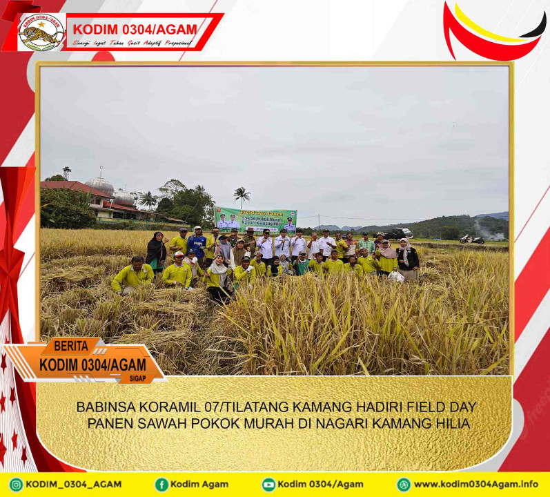 BABINSA KORAMIL 07/TILATANG KAMANG HADIRI FIELD DAY PANEN SAWAH POKOK MURAH DI NAGARI KAMANG HILIA