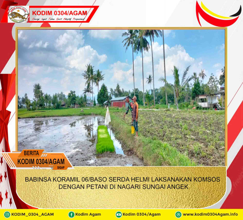 BABINSA KORAMIL 06/BASO SERDA HELMI LAKSANAKAN KOMSOS DENGAN PETANI DI NAGARI SUNGAI ANGEK