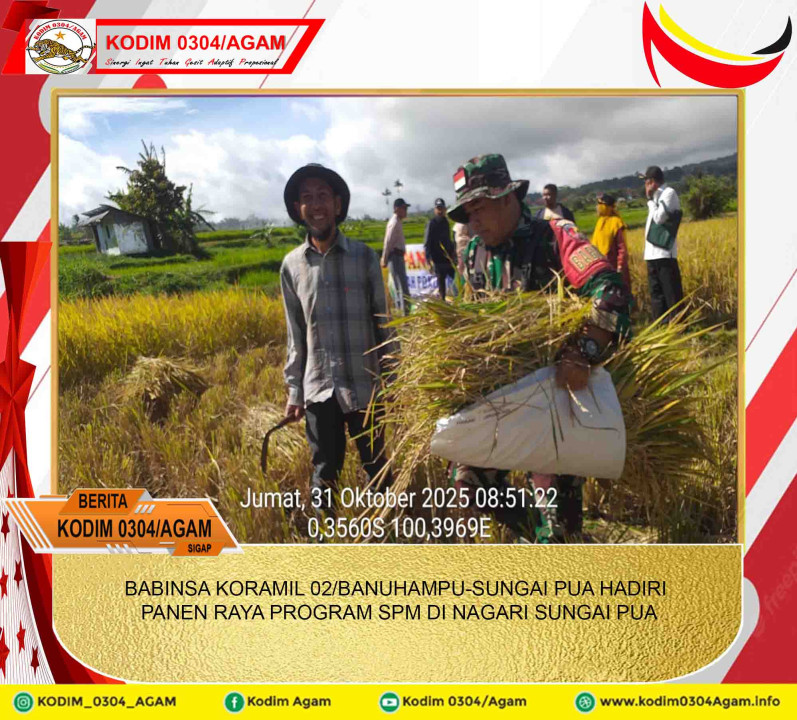 BABINSA KORAMIL 02/BANUHAMPU-SUNGAI PUA HADIRI PANEN RAYA PROGRAM SPM DI NAGARI SUNGAI PUA