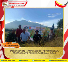 BABINSA KORAMIL 08/AMPEK ANGKEK HADIRI PANEN RAYA PROGRAM SAWAH POKOK MURAH DI BALAI GURAH