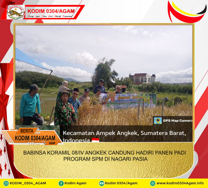 BABINSA KORAMIL 08/IV ANGKEK CANDUNG HADIRI PANEN PADI PROGRAM SPM DI NAGARI PASIA