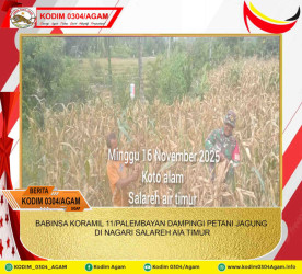 BABINSA KORAMIL 11/PALEMBAYAN DAMPINGI PETANI JAGUNG DI NAGARI SALAREH AIA TIMUR