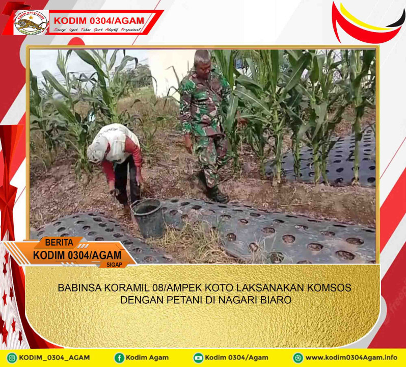 BABINSA KORAMIL 08/AMPEK KOTO LAKSANAKAN KOMSOS DENGAN PETANI DI NAGARI BIARO