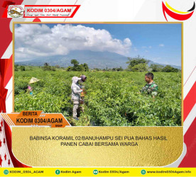 BABINSA KORAMIL 02/BANUHAMPU SEI PUA BAHAS HASIL PANEN CABAI BERSAMA WARGA