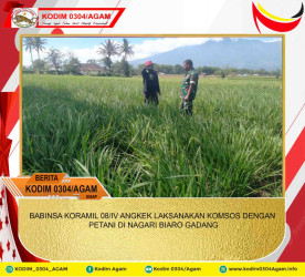 BABINSA KORAMIL 08/IV ANGKEK LAKSANAKAN KOMSOS DENGAN PETANI DI NAGARI BIARO GADANG