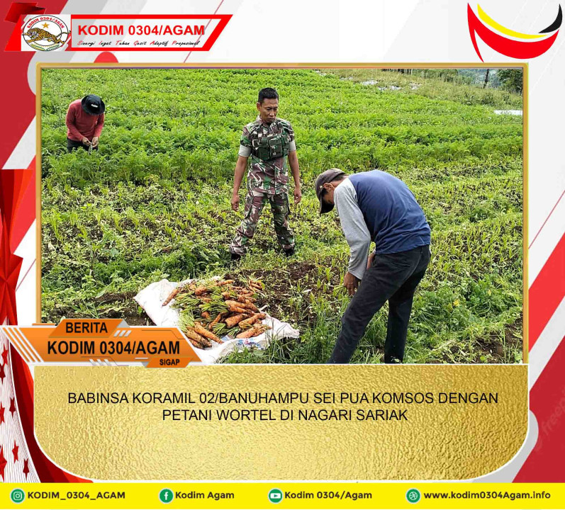 BABINSA KORAMIL 02/BANUHAMPU SEI PUA KOMSOS DENGAN PETANI WORTEL DI NAGARI SARIAK